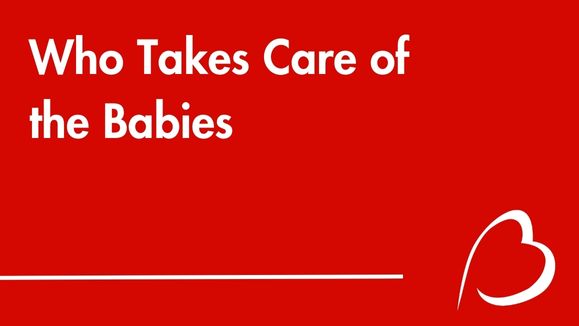 Play YouTube Video - who takes care of the babies